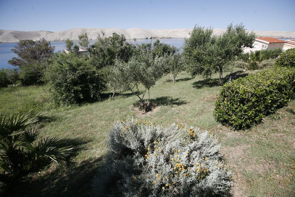 Apartments Roza Miškovići 外观 照片