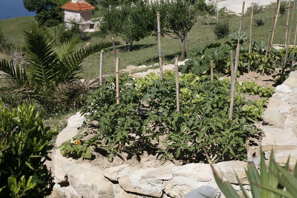 Apartments Roza Miškovići 外观 照片